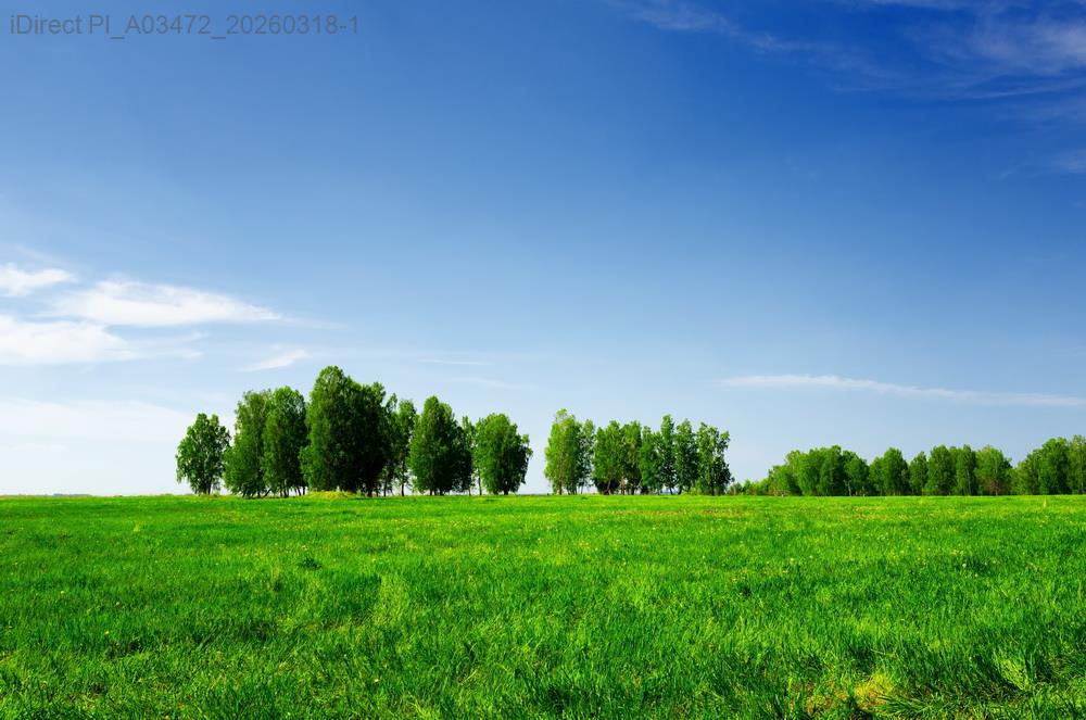 每天早上醒來，才知道我家被一幅畫保佑了財運